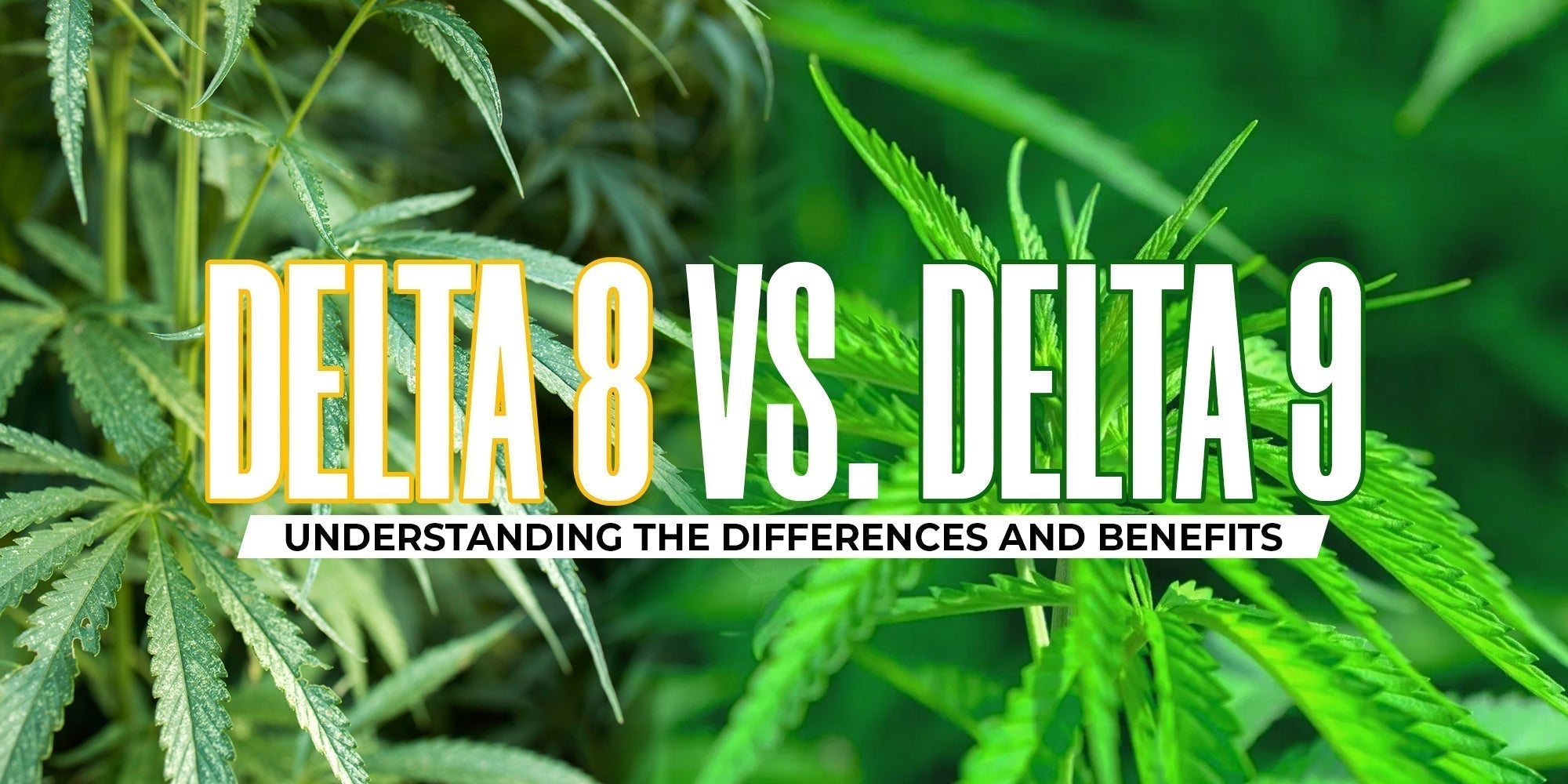 Delta 8 and Delta 9