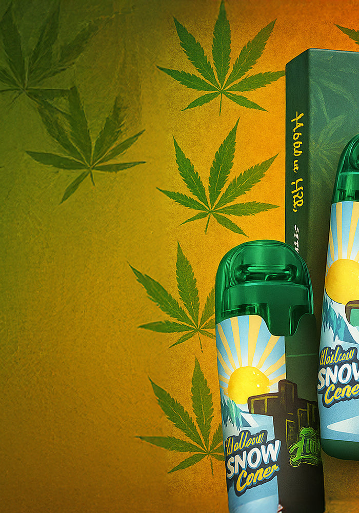 <h2><strong>Your Vape, Your Pace</strong></h2>