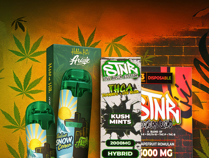 <h2><strong>Your Vape, Your Pace</strong></h2>